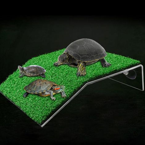 Plateforme De Séchage Pour Tortues - Ventouse Puissante - Pente Ergonomique - Pour Aquarium - 1 Pièce (1/5)