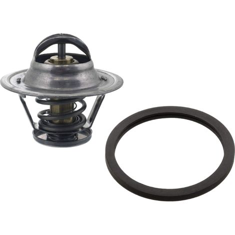 Febi 21003 Termostato