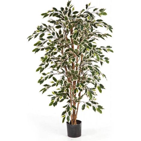 Ficus Nitida artificiel en pot tronc naturel H 180 cm Blanc-vert - dimhaut: H 180 cm - couleur: Blanc-vert