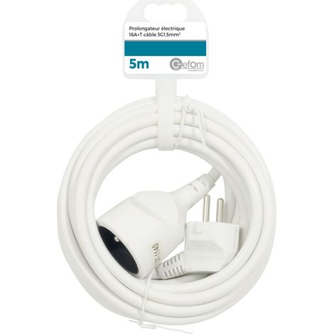Rallonge électrique 5M