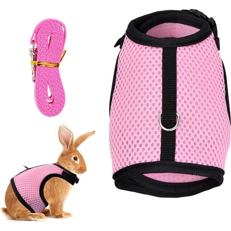 1 Harnais Gilet, Maille Respirante, Réglable Nylon, Laisse Élastique, Lapin Cochon D'Inde (1/5)