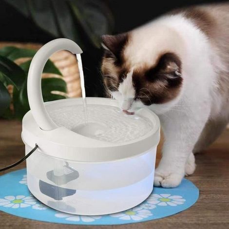 Fontaine à eau pour chat chien - Circulation automatique Branchement USB - Swan Distributeur d\'eau pour chat-Ywey (1/5)