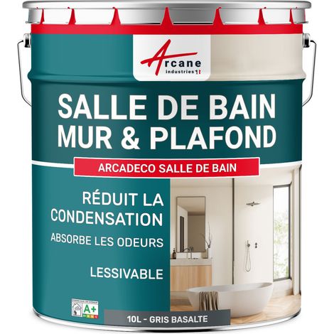 Peinture salle de bain, mur et plafond, condensation - 10 L Gris Basalte - RAL 7012 - ARCANE INDUSTRIES (1/5)