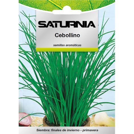 Semi di erba cipollina aromatica Allium schoenoprasum (1 grammo) (1/2)