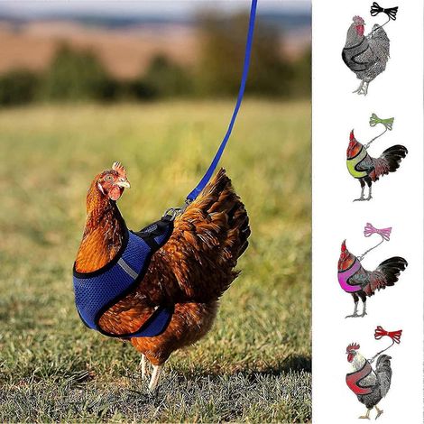 1 Set Hühnergeschirr mit Leine, atmungsaktiv, verstellbar, für Hühner, Enten und Geflügel im Garten-M-Black