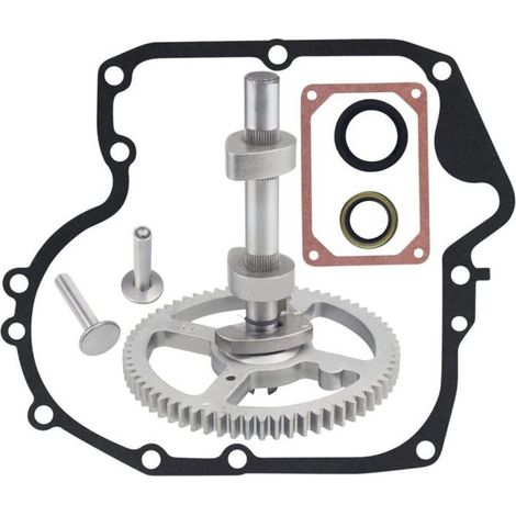 Arbre à cames remplace pour Briggs & Stratton 793880 - HAWUJ - Réf.793583/792681/791942/795102 (1/4)