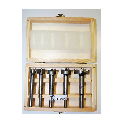 SET DI FRESE MECCHIE PER LEGNO 5 PEZZI FORSTNER PUNTE SVASATRICI farneed