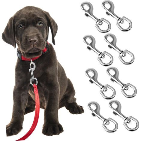 teiliges Set Hundeleinen Schnallen Haustier Karabiner aus