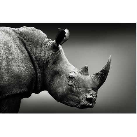 Affiche Rhinoceros Close up noir et blanc - 60x40cm - made in France (1/5)