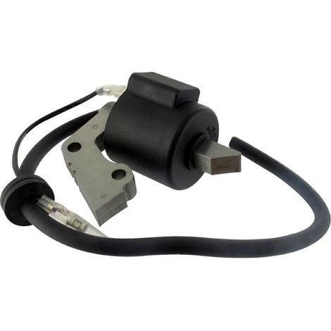 Bobine Adaptable Pour Moteurs Robin Modèles Ey15.