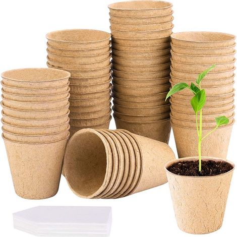 Godet De Semis - En Plastique Et Papier - Pour Plantes Potagères Et Aromatiques - Dimensions 6 cm Ou 8 cm - Lot De 20 Pièces Ou 50 Pièces (1/5)