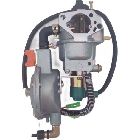 Générateur à carburateur double carburant HONDA GX390 188F, adapté aux moteurs GPL/GN de 5 à 8 kW. (1/3)