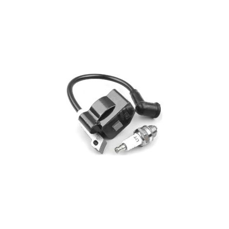 Bobine d'allumage pour Stihl Fs55 Fs55c Fs46 Fc55 Fs38 Fs45 Fs55 Hl45 Hs45 - Bdliv (1/3)