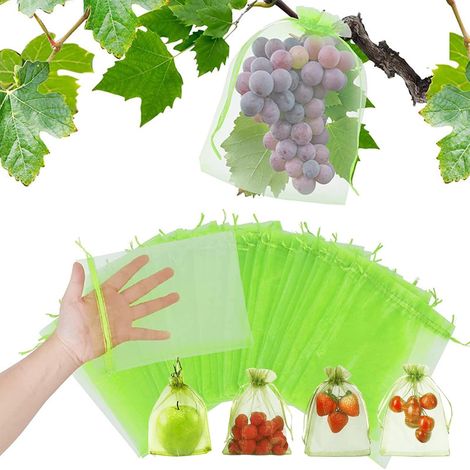 100 Stück Traubenschutzbeutel – 15 x 10 cm – mit Kordelzug – Obstschutzbeutel – Obstschutzbeutel – für Wespen, Vögel, Schnecken, Fliegen (1/5)