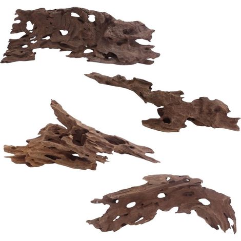 Honey Comb Wurzel L 35-50 cm