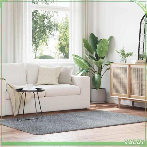 4102834 Tapis Shaggy à poils longs NAVARRA gris clair 130x200 cm (1/5)