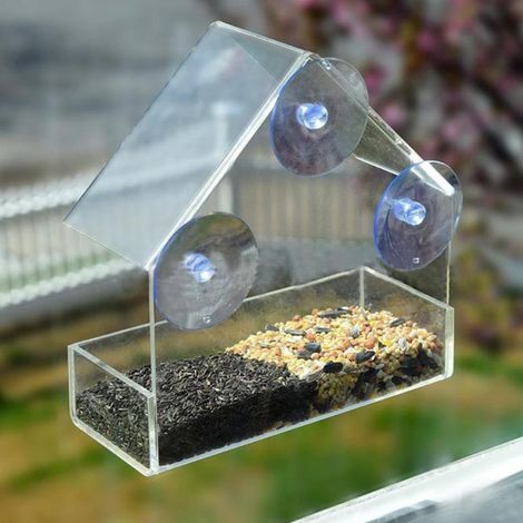 Mangeoire pour Oiseaux à Fenêtre en Verre Transparent - Support à Ventouse pour Nourrir les Oiseaux