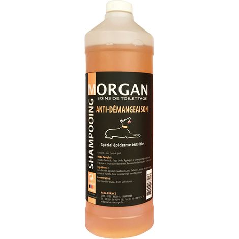 Shampoing anti-démangeaison Morgan : 1L