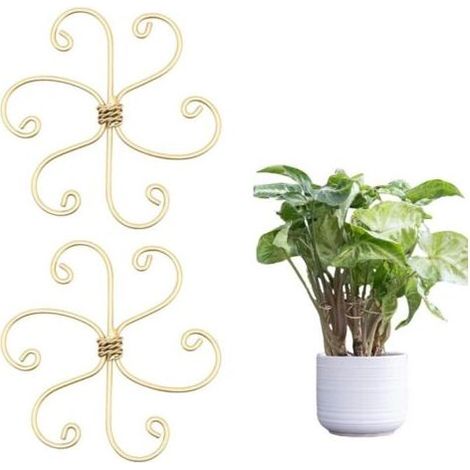 Lot de 2 supports de tronc de plantes en fer durable pour monstera et plantes grimpantes - Kit de pinces en bambou pour stabiliser et soutenir les feuilles (1/4)