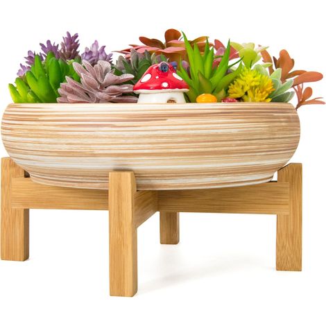 Pots de Fleurs succulentes – Grand Pot de bonsaï de 25,5 cm avec Support de Drainage, Pots Peu Profonds pour Plantes Grasses d'intérieur et Plantes Grasses, Bol décoratif pour Fleurs, Cactus (1/5)
