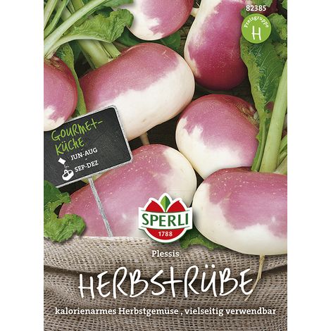 Sperli Herbstrüben Plessis F1 - Gemüsesamen (1/2)