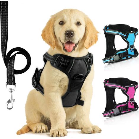 Harnais pour Chien Réglable et Confortable avec Laisse Réfléchissante – Gilet Anti-Traction pour Promenade et Dressage (1/5)