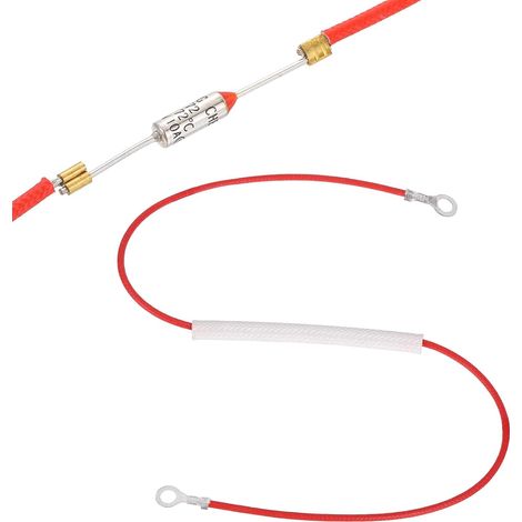 Fusible Thermique Universel Pour Cuiseur À Riz, 172°C 10A 250V Fusible Thermique En Métal Avec Bornes À Anneaux Aux Deux Extrémités Et Gainage En Fibre De Verre Pour Pièce (1/5)
