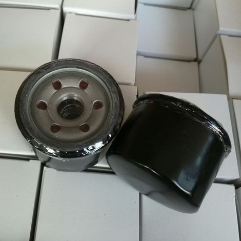 Filtre à huile MTD MTD 751-12690 75112690 220g, filtre à huile à visser, pesant 220g, compatible avec les équipements MTD. (1/2)