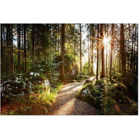 Affiche Le temps des forêts - 60x40cm - made in France (1/5)