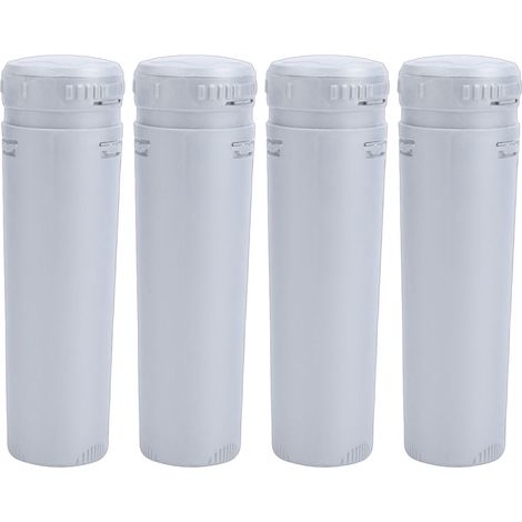 Cartouche de rechange pour spa en ligne, 4 pièces, pour baignoires artésiennes jusqu'à 600 gallons (1/5)