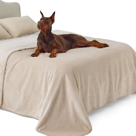 Hundedecke Wasserdicht Waschbar Fleece XXXXL 274x218cm Cremefarben (1/5)