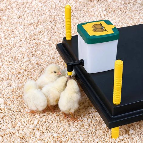 Abreuvoir à pipette poussins et cailles 0,5 L Olba