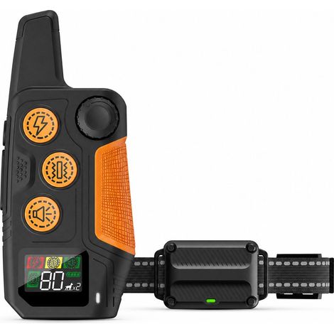 Collier de dressage pour chien étanche télécommande 2 canaux modes son vibration électrostatique réglable Jardinage Entretien (1/5)