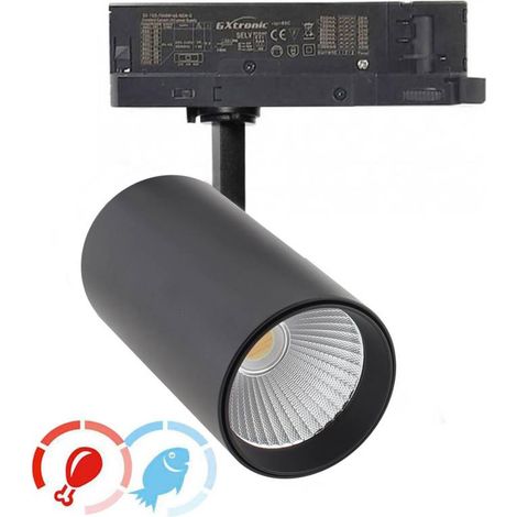 Foco carril Trifásico CRONOLUX, 40W-30W, blanco, 38º, UGR13, DUAL Carnes y Pescados, Magenta-Azul (1/5)