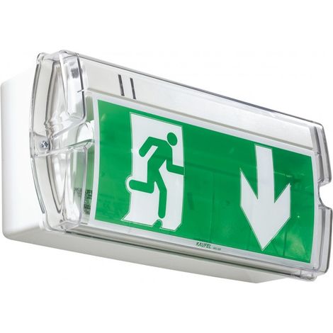 BRIO ET LS A SATI Fluorescent/LED 45lm 8lm NP IP66 IK10 (226405)
