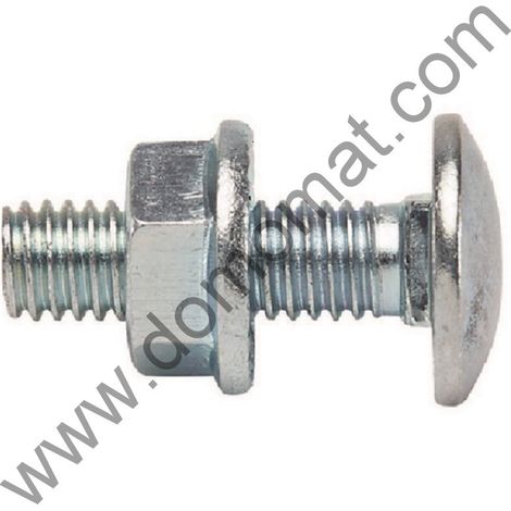 RAM - BOULON TRCC, 6MM X 20MM, GRIS, BOÎTE DE 100 93430 (1/2)