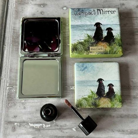 Miroir dans une boîte Chiens dans les dunes