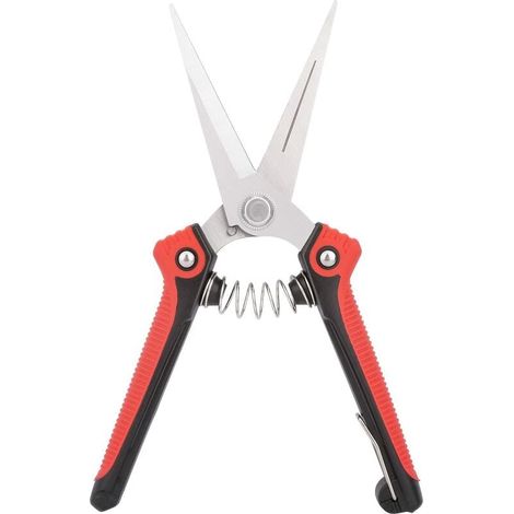 Forbici professionali per la raccolta della frutta da frutteto in acciaio inox affilato, rosse e nere, sfuse (1/5)