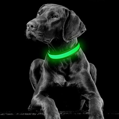 Collier LED rechargeable et étanche pour chien - Collier lumineux confortable pour animaux de compagnie, collier en maille ajustable phosphorescent, lumière clignotante verte, taille moyenne (1/4)