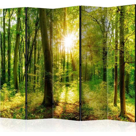 Paravento - Forest Rays II [Room Dividers] - 225x172 (1/4)