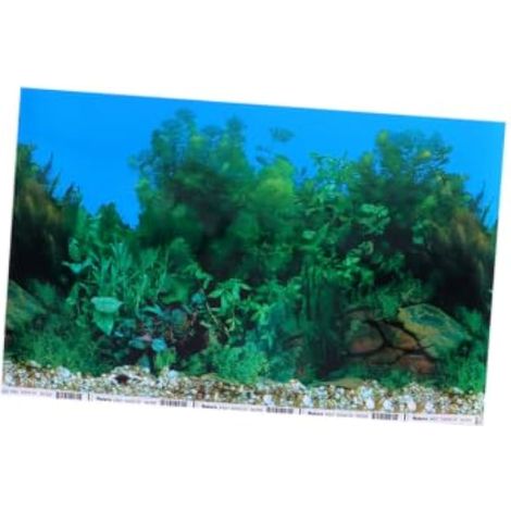 Sticker pour Aquarium Décor Scénario Marin Autocollant Adhésif Double Face Fond Poisson Tank Décoration Murale (1/5)