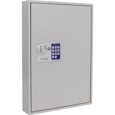 Armoire à clés S 100 H550xL380xP80mm 1 porte sans numéro Hak.100 ROTTNER