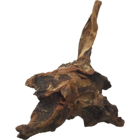 Amtra Legno Mystic Wood - Decorazione per acquario naturale, per acquario, paludari e terrari, 15-20 CM (1/4)