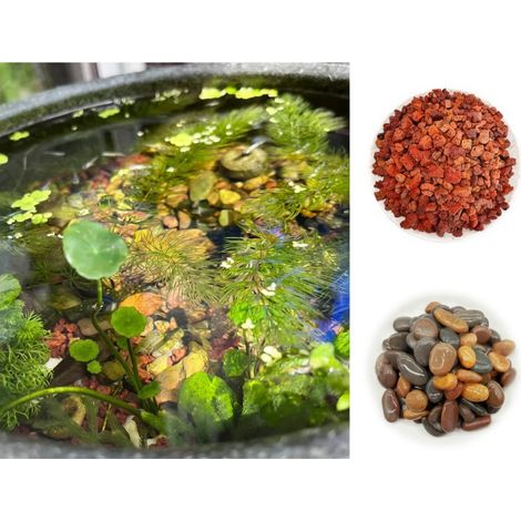 Sable naturel pour aquarium 4 kg 2 kg modèle 2