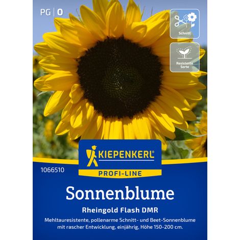 Kiepenkerl Profi-Line Blumensamen Sonnenblumen Rheingold Flash DMR F1 für ca. 15 Pflanzen (1/2)