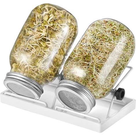 Lot de 2 bocaux en verre, couvercle acier inoxydable 304, support réglable, kit germination intérieur (1/5)
