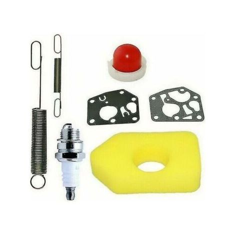 BUNTHAUS Rasenmäher-Wartungsset – Luftfilter kompatibel mit Briggs & Stratton Classic/Sprint Motoren 698369 –