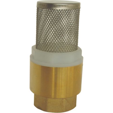 Clapet crépine universel Femelle 1" axe plastique (1/2)