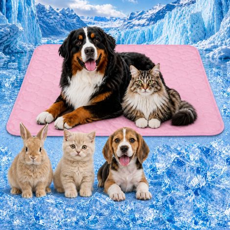 Kühlmatte für Hunde – 100 x 70 cm – Rosa  Kühlende und atmungsaktive Matte für Haustiere (1/5)