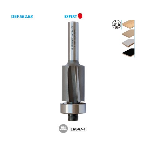 Leman - Mèche d'affleureuse biaisée diam. 19 long. 64 q.8 + guide - 5628.700.00 (1/2)
